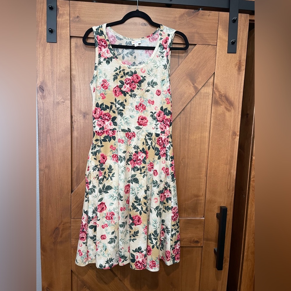 LulaRoe dress with pockets